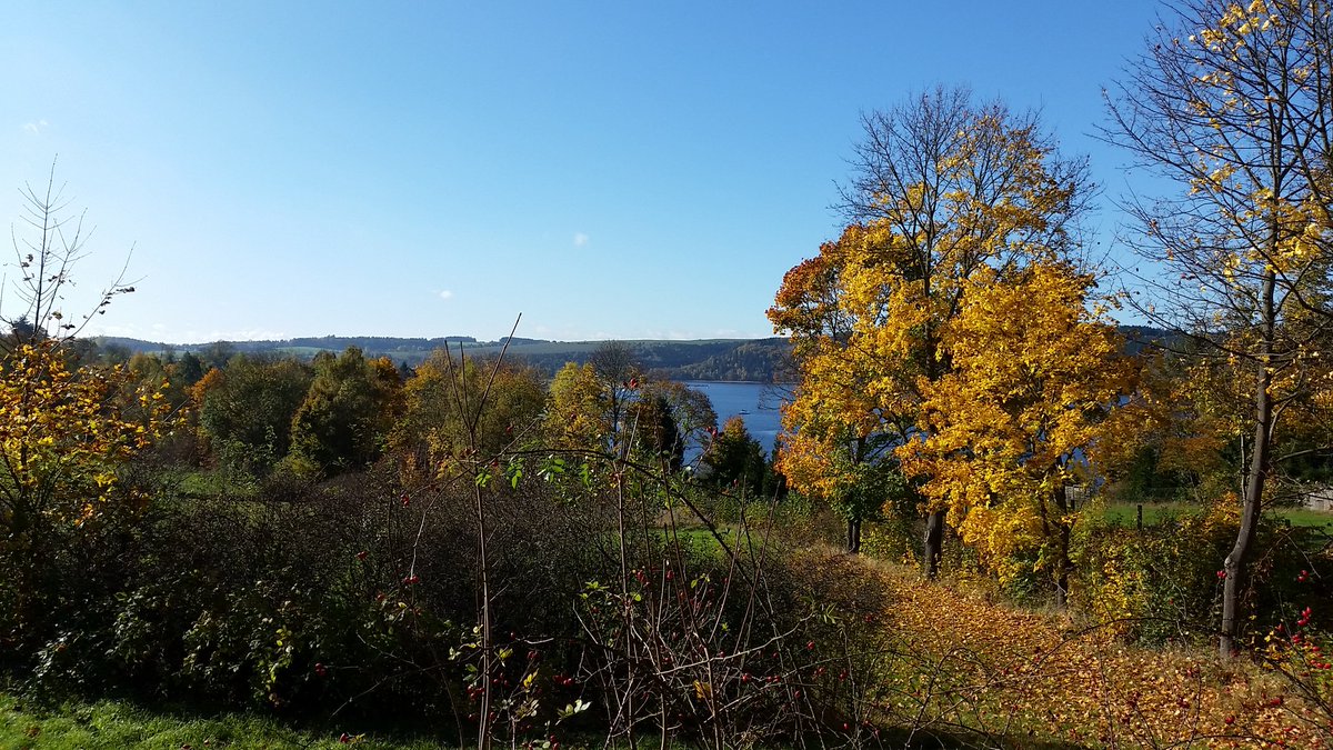 JensLoebel's tweet photo. @thueringen_ttg #Herbst Impressionen an der #Bleiloch #Thüringen https://t.co/qWlPJpcyHU