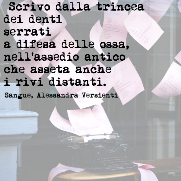 Ale_sandra's tweet photo. #Ilmiolibro di #poesie "Sangue" è tra i 30 finalisti del concorso #ilmioesordio2017! Sostenetemi, commentate su ilmiolibro.it, è gratis :-) https://t.co/X5H69FIXPF