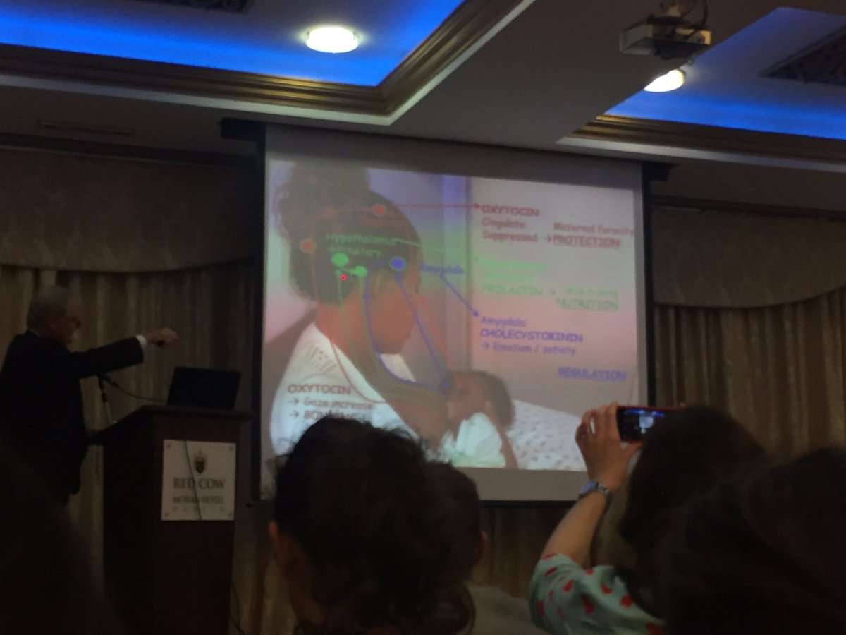 monkeypiggy_me's tweet image. Neurological changes in mothers are permanent. Infant must stimulate them. #NilsBergman #IPBC17