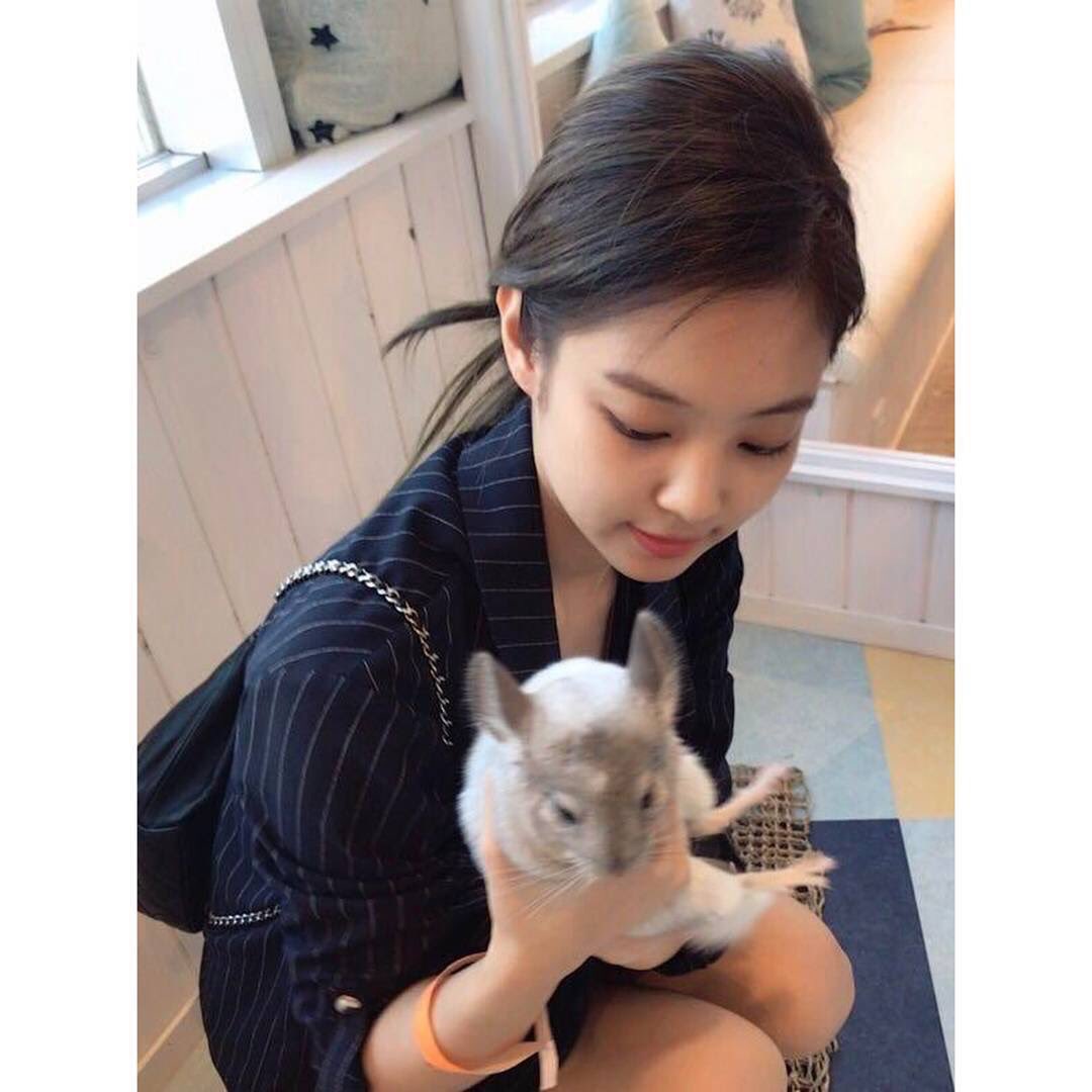 Haeyoung (@hailimez) on Twitter photo 