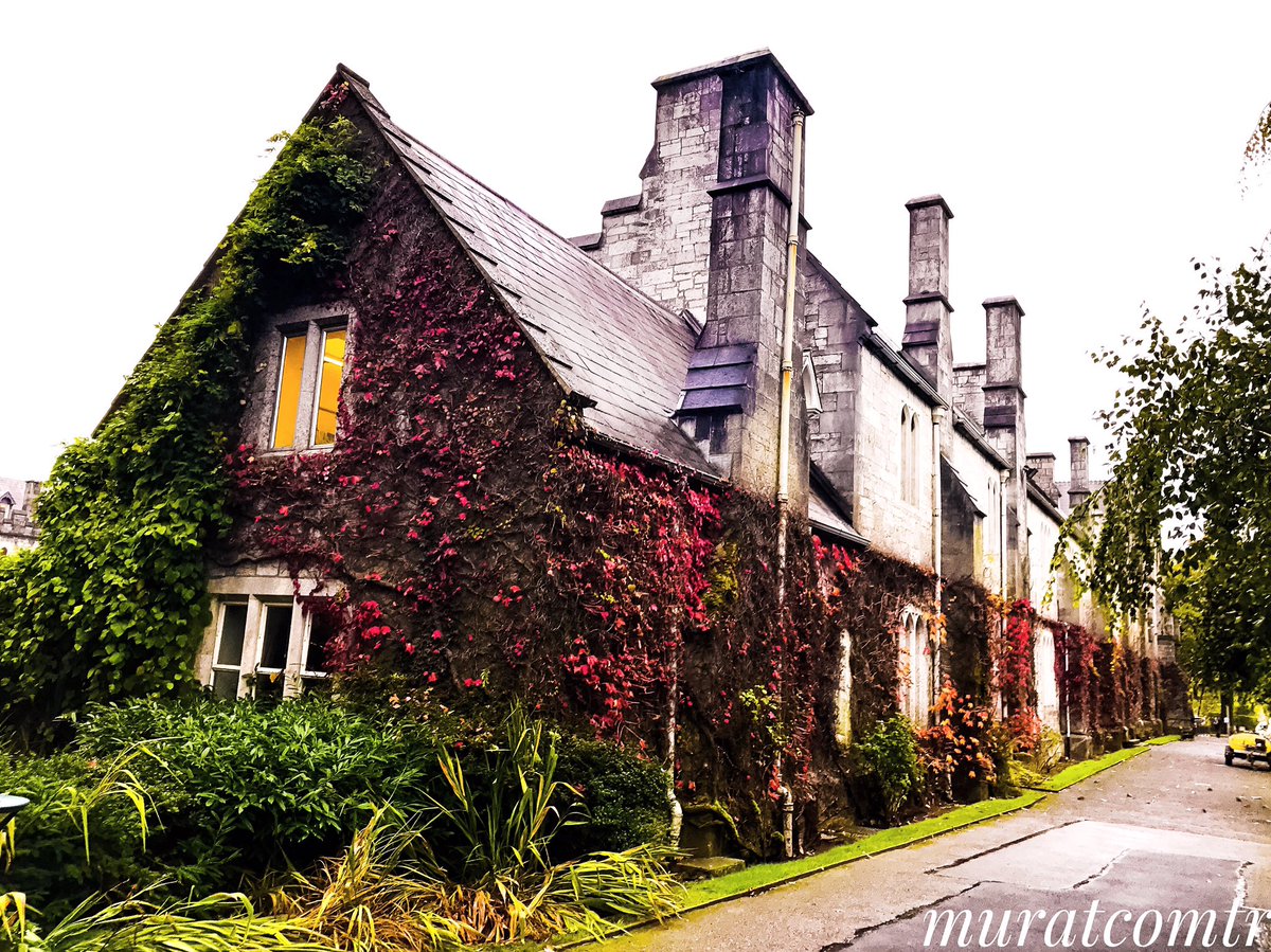 muratcork_'s tweet image. Colorful University College Cork ✨☘️✨
.
#cork #ireland #ucc #university #autumn #500pxrtg #irlanda #cork_daily