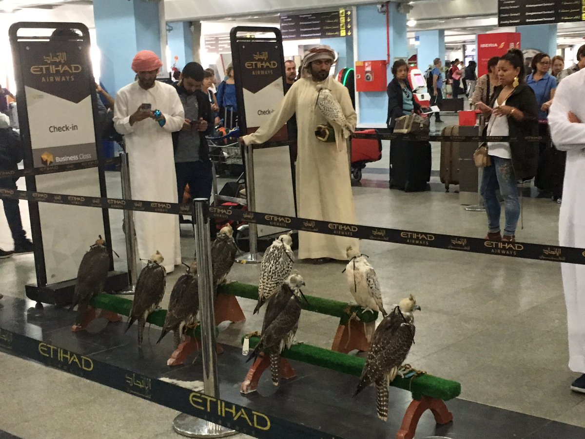 oozzy (@vier) on Twitter photo 