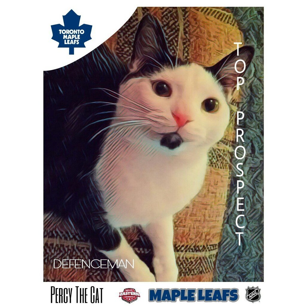 DWLandriault's tweet photo. Happy #caturday https://t.co/aIdFoYw8bB