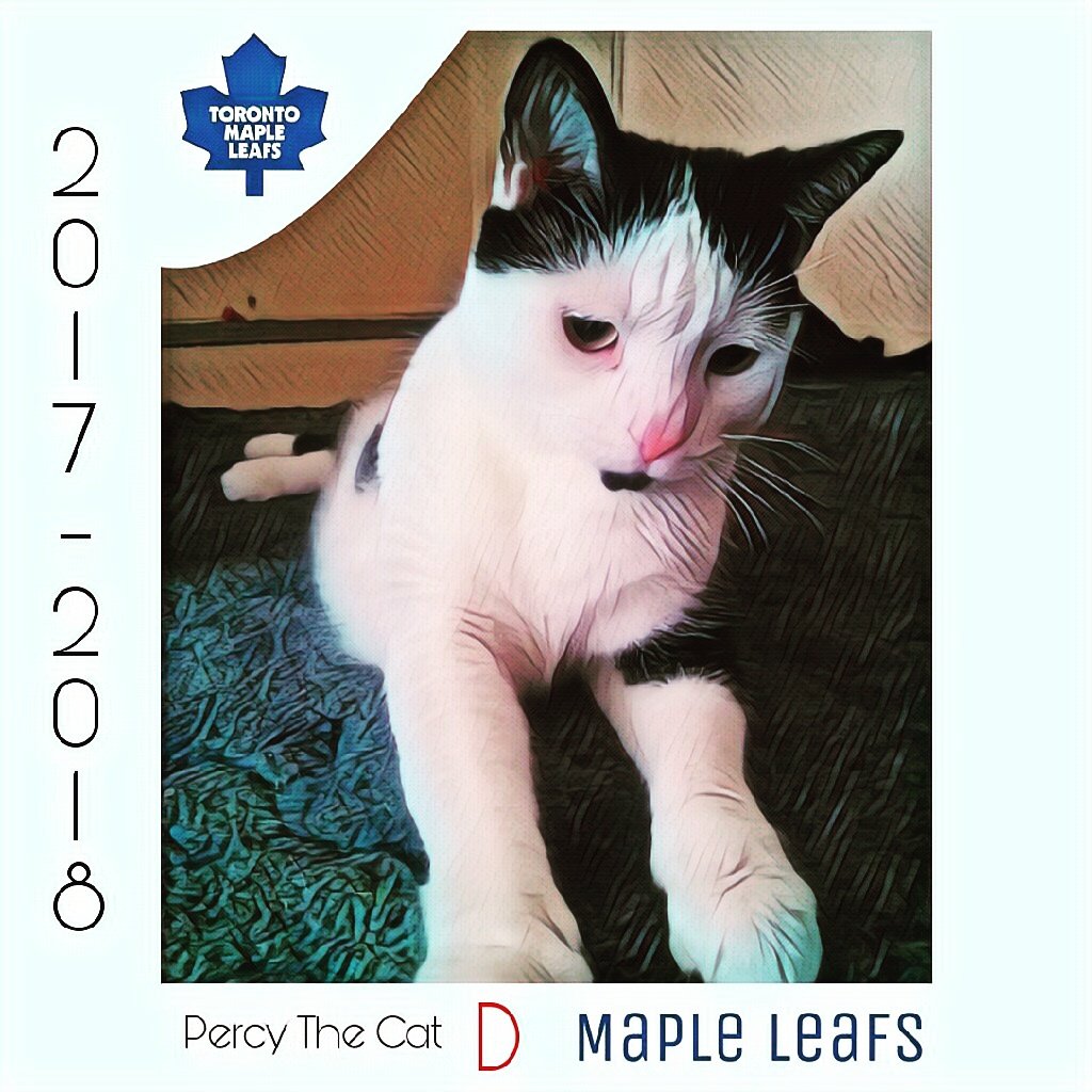 DWLandriault's tweet photo. Happy #caturday https://t.co/ownibao2UB