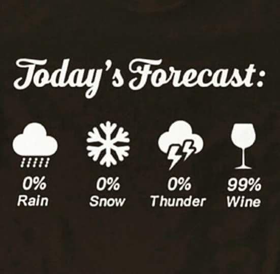 The only accurate weather forecast. Ever. #weather #wine #forecast
