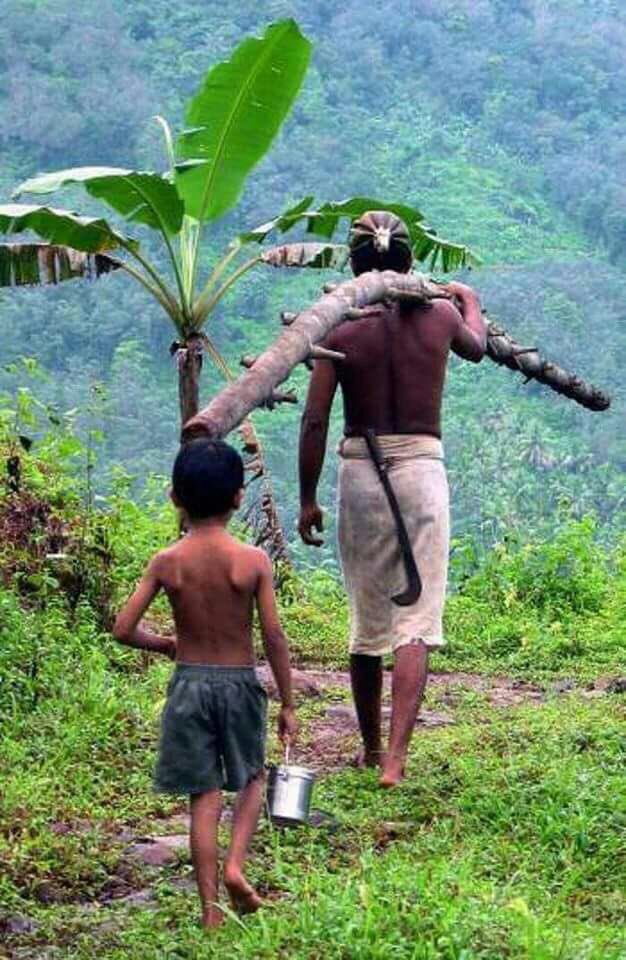 sidheekeas's tweet photo. നാട്ടുവഴികളിലെ താവഴികൾ.. https://t.co/wFvYS4nkIu