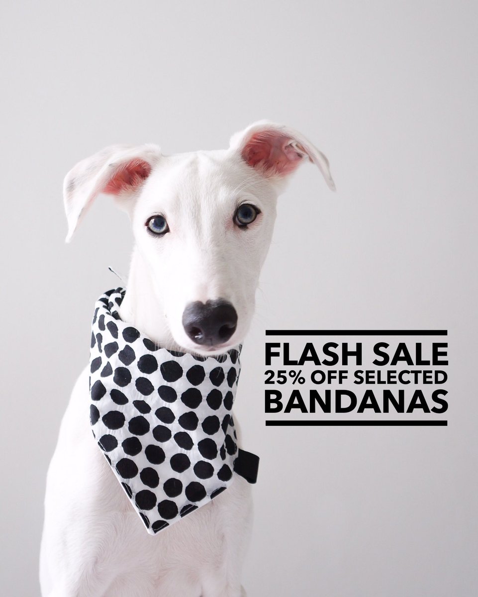 We're celebrating the weekend with a FLASH SALE: get 25% off selected bandanas - Ends Monday 16th Oct at 8am BST 👉🏻 bit.ly/StatelyDogBand…