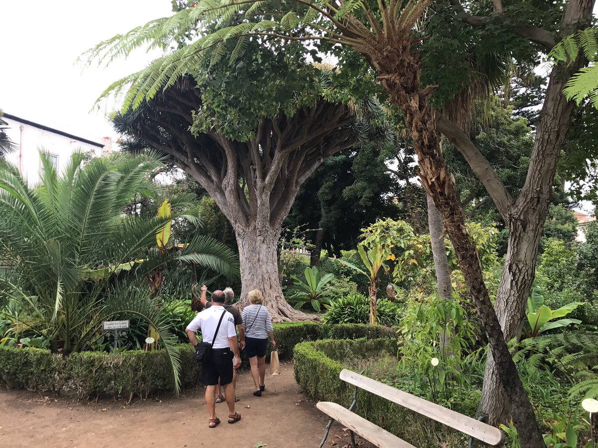 BassoLanzone's tweet photo. #islandTour #GetHoliday #LaOrotava https://t.co/A3bZnSoLJu