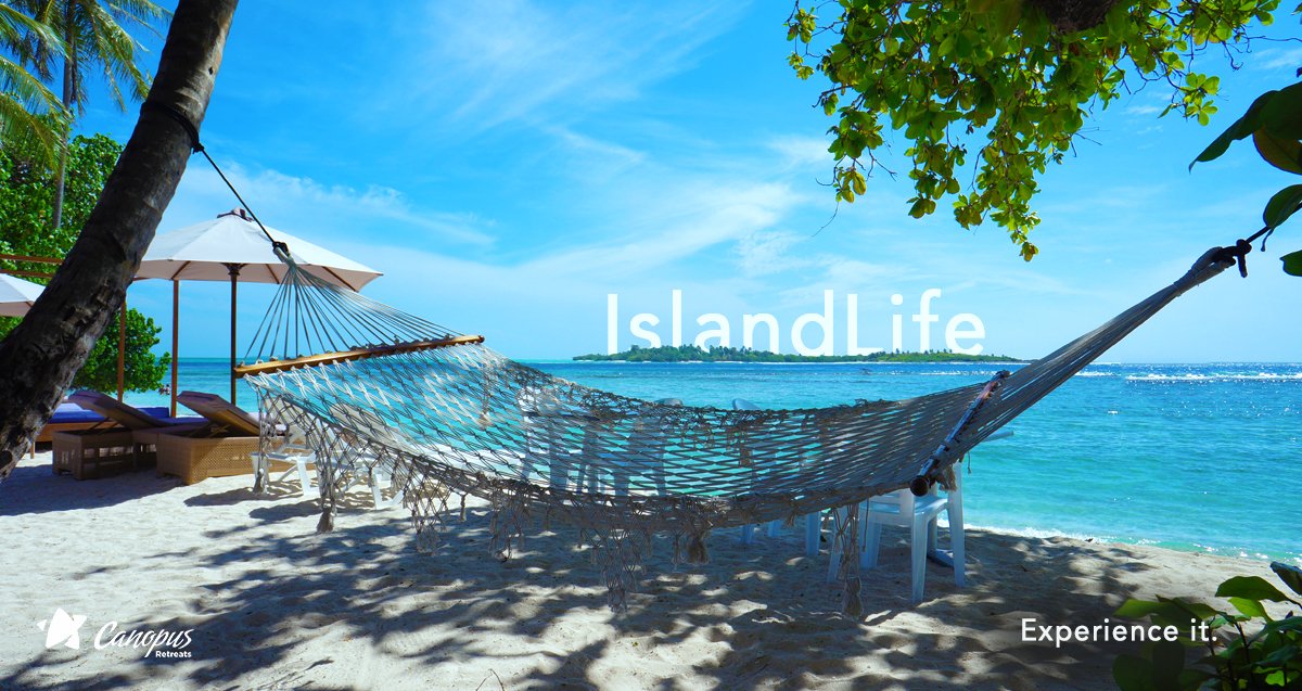 CanopusRetreats's tweet photo. Don't just try island life, experience it in Maldives. 🏝️#ExperienceIslandLife #SaturdayMorning https://t.co/2DN7wsXp55