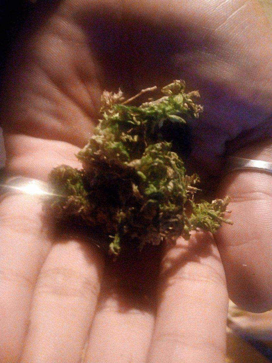 johnmic016 tweet picture