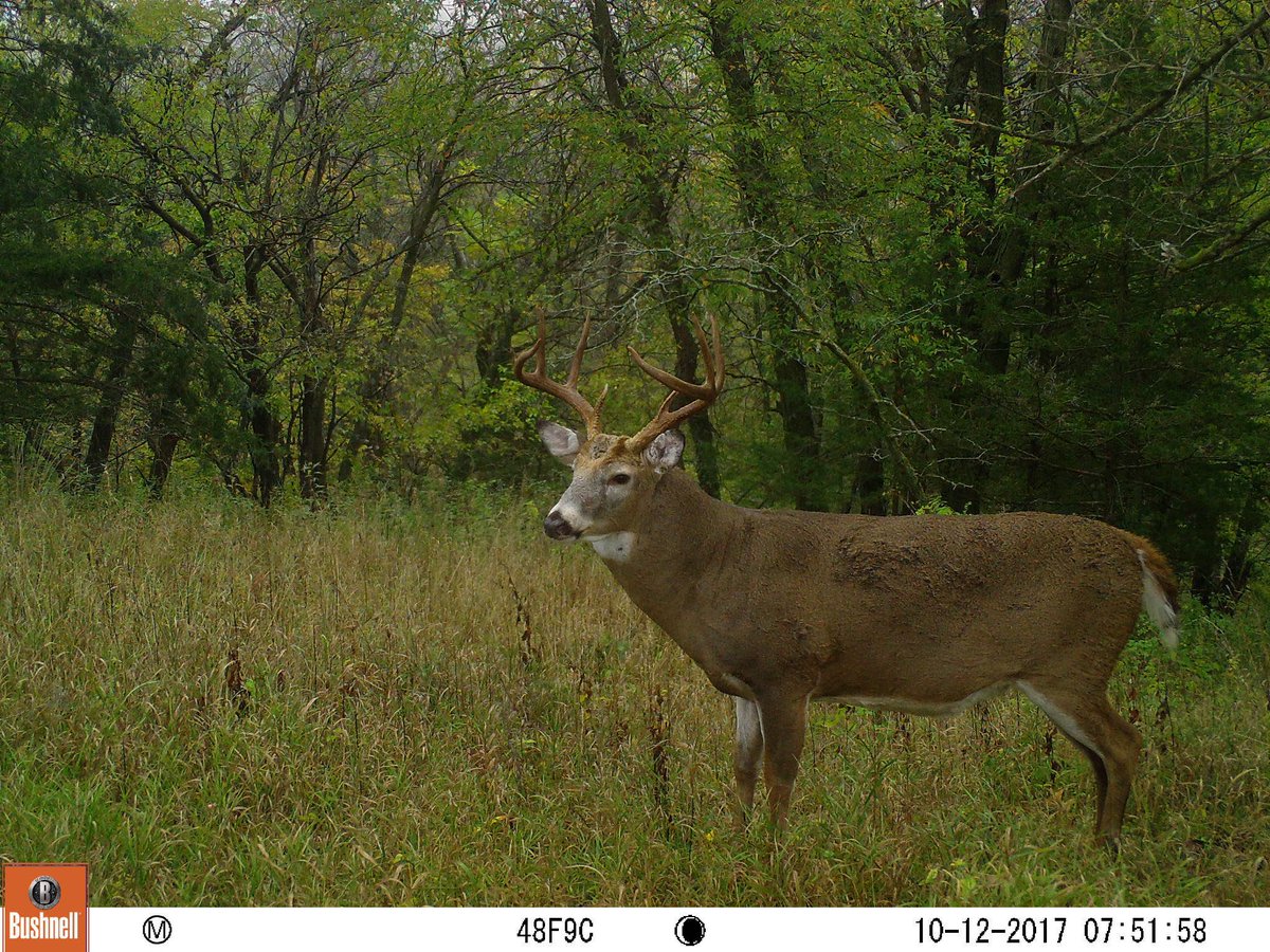 George Parris tweet media