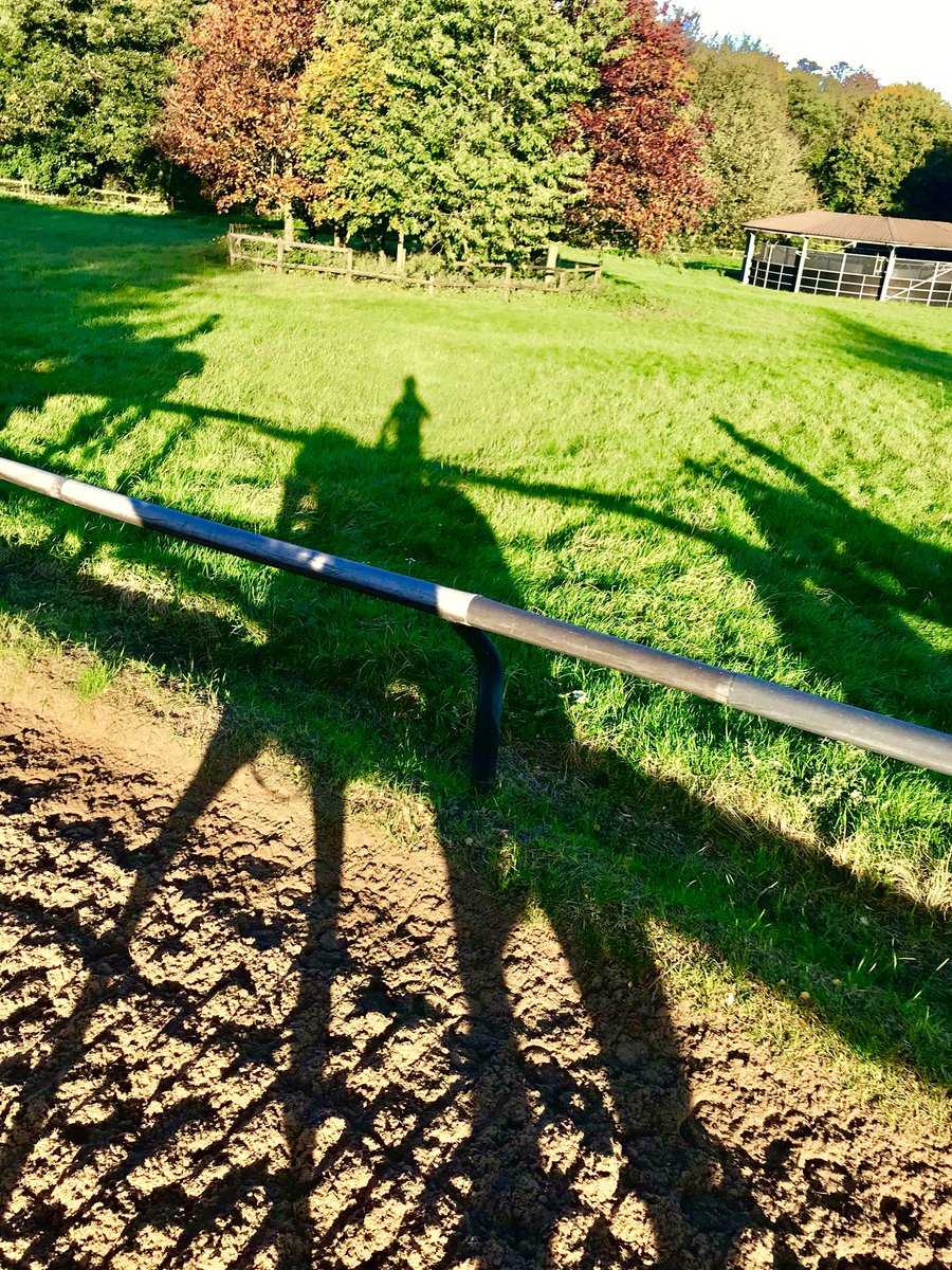 Reedy_KJR's tweet photo. #autumnshadows #14/10/17 https://t.co/3kQWCLUCor