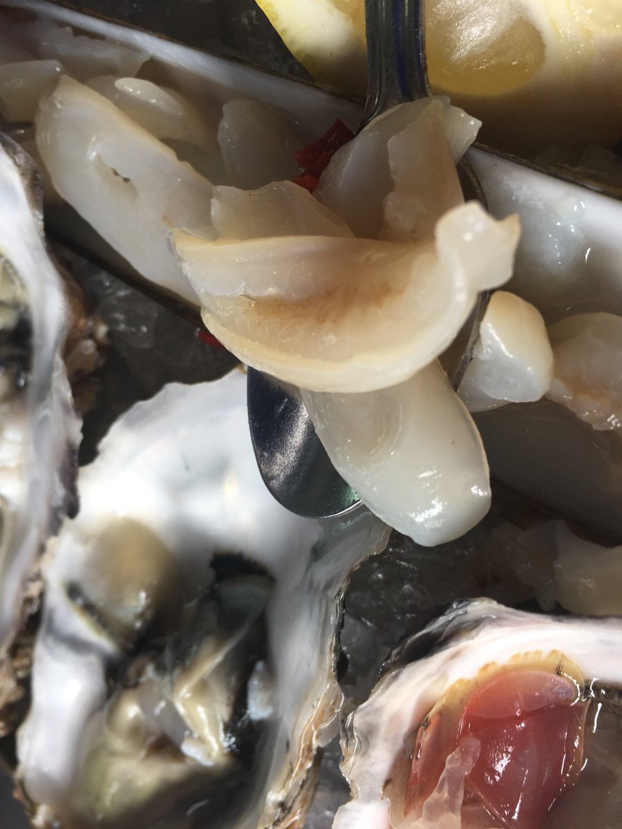 PassionSeafood's tweet photo. See this is what I like about being a food writer- when you have mates like @rexgoldsmith who serve you this for lunch #rawshellfish ๐๐ผ๐ https://t.co/grFTxD3Z3N