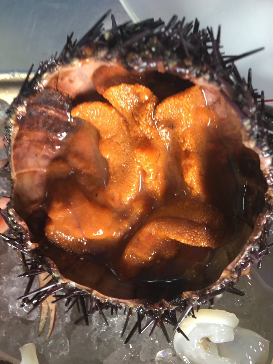 PassionSeafood's tweet photo. See this is what I like about being a food writer- when you have mates like @rexgoldsmith who serve you this for lunch #rawshellfish ๐๐ผ๐ https://t.co/grFTxD3Z3N