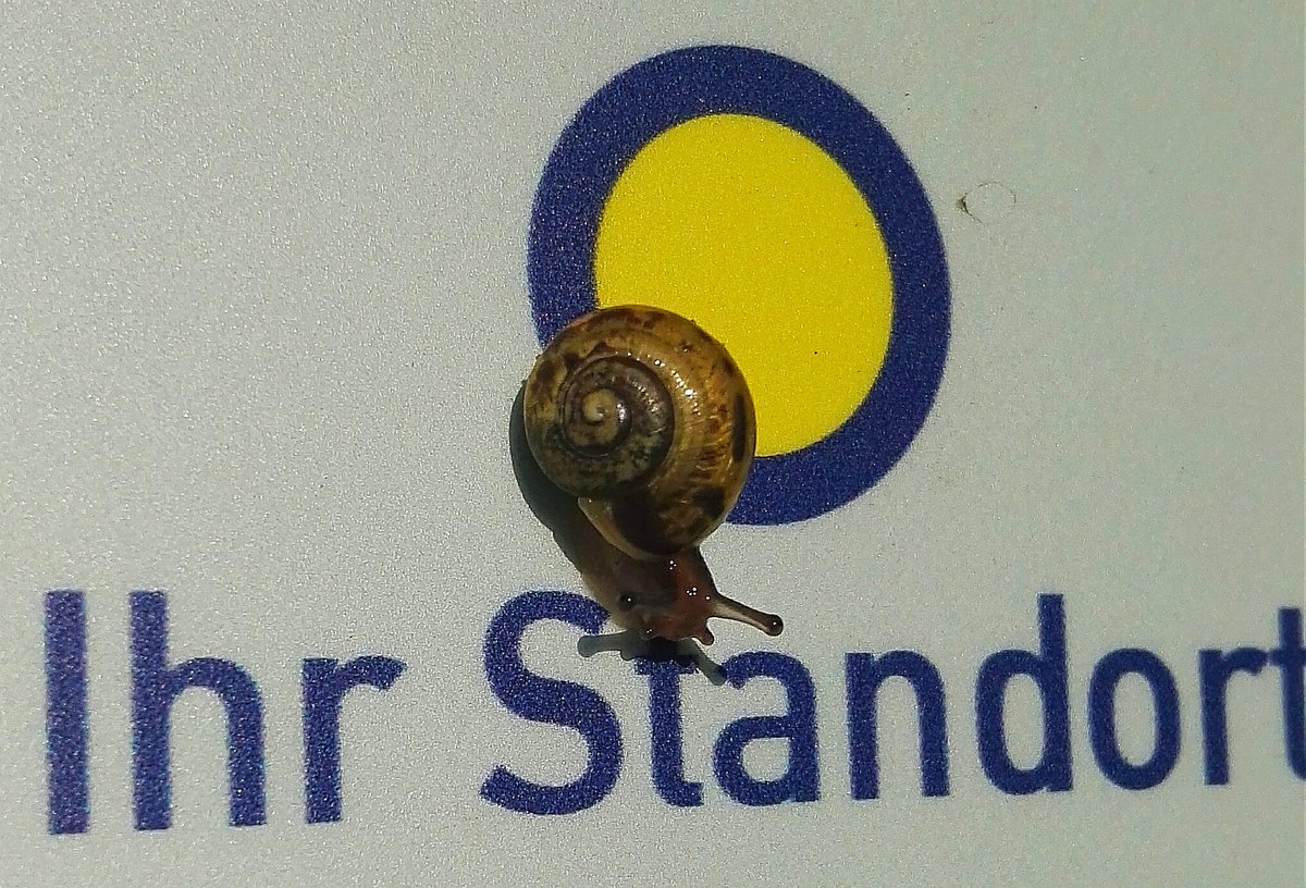 Manche haben einen Standpunkt
Andere einen Standort...