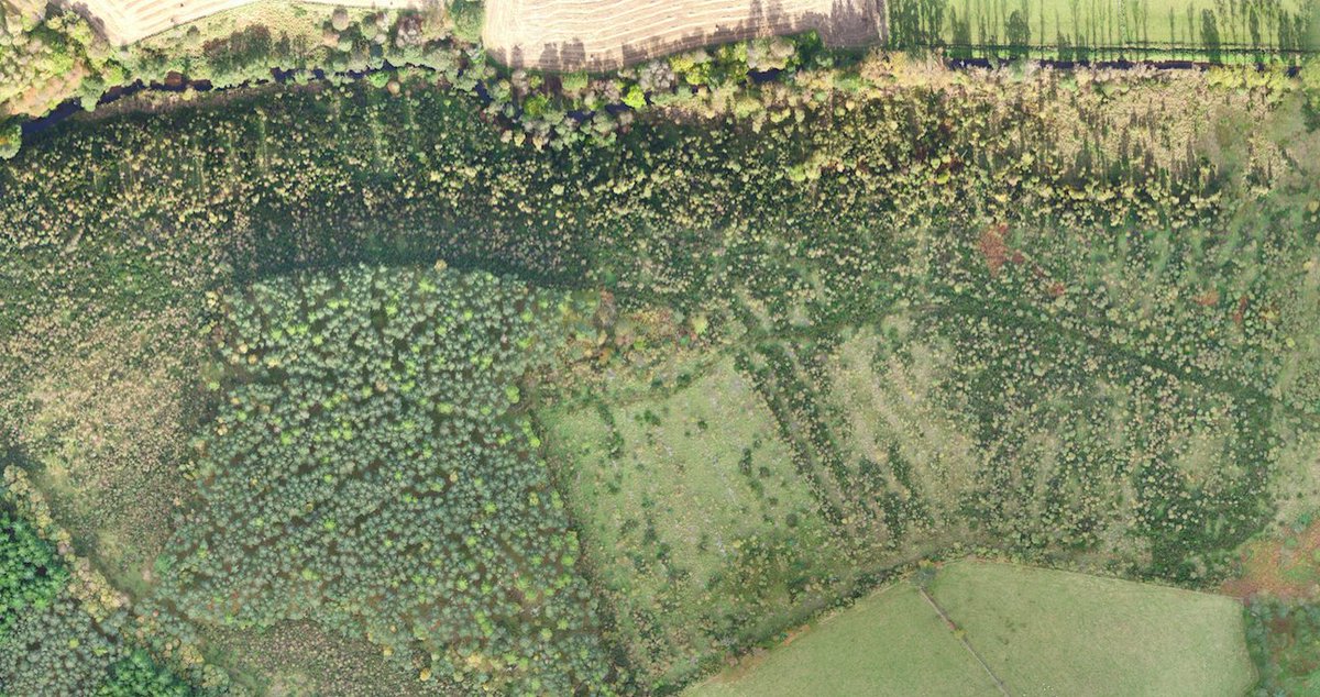 ROAVR_UAS's tweet photo. We will be at the @royal_forestry #FutureForestry event on Fri 20th October. Looking forward to talking drones in #Forestry @ROAVR_enviro https://t.co/7T0iXpGwmi