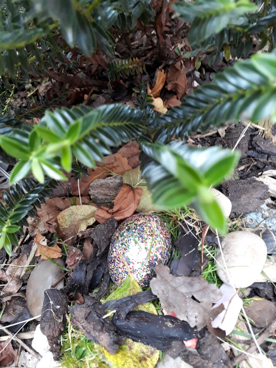 StJohns_Eagle's tweet photo. I have made a cosy nest for my egg, it is enjoying the warm, afternoon sunshine. Hope Year 3 are looking after their eggs #asprinkleofmagic. https://t.co/hEwDM65VR3