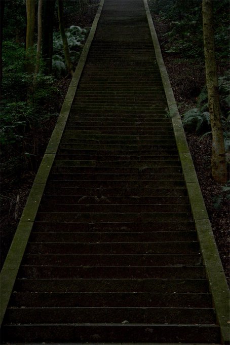 「森林 夜」のTwitter画像/イラスト(古い順)