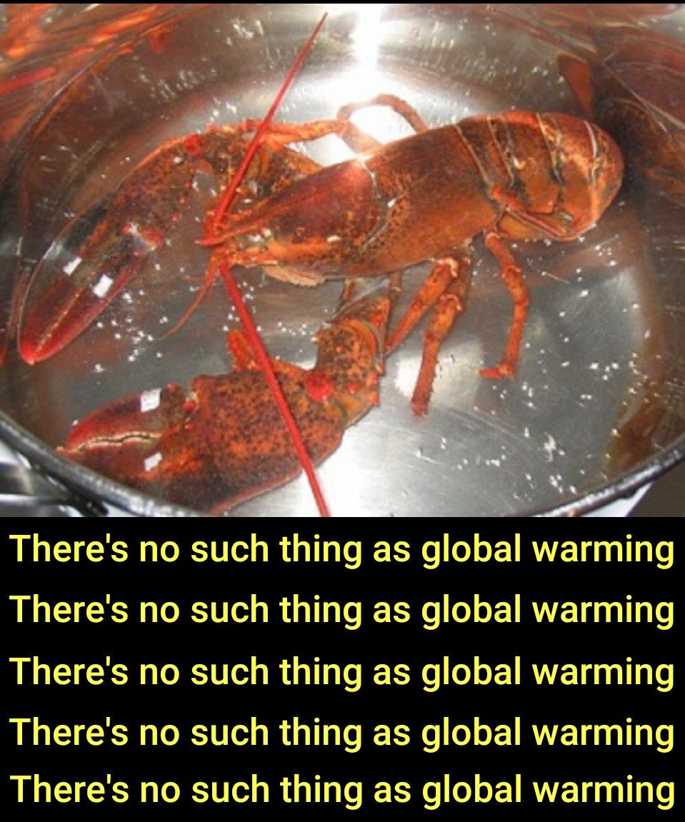 ACrowdedPlanet's tweet photo. @AtheistRepublic :
There's no such thing as global warming.
:
#climatechange #globalwarming #climatecatastrophe #ClimateChangeisaMyth #ClimateAction #climate https://t.co/qGXKJsM8h7