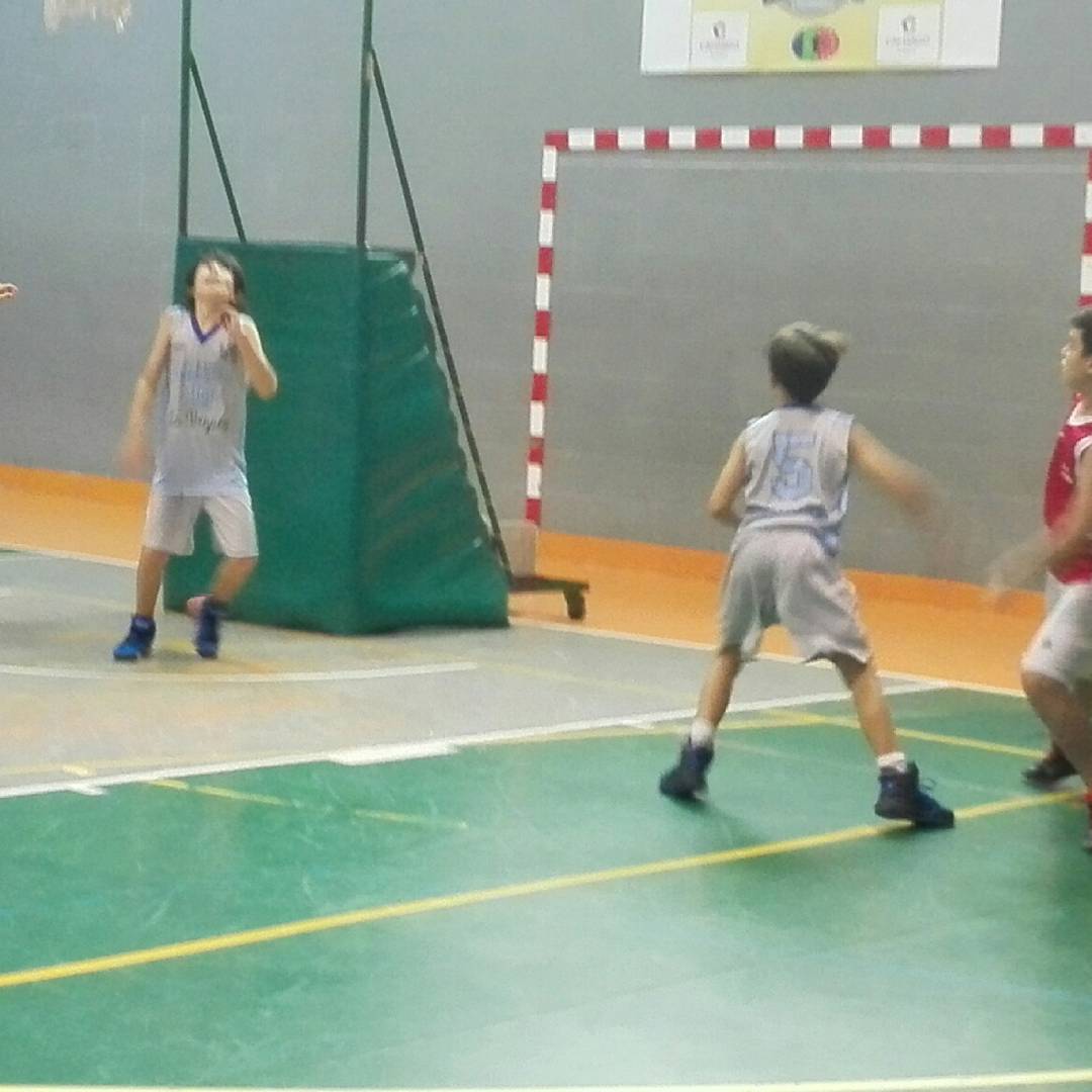 LaVegana1932's tweet photo. Alevín @ad_amide La Vegana. ¡¡¡En plena forma!!! Historia en el Matilde #123amide #goamide #orgullodepertenencia🐙🏀 #lavegana1932 https://t.co/cxqbBUm89m