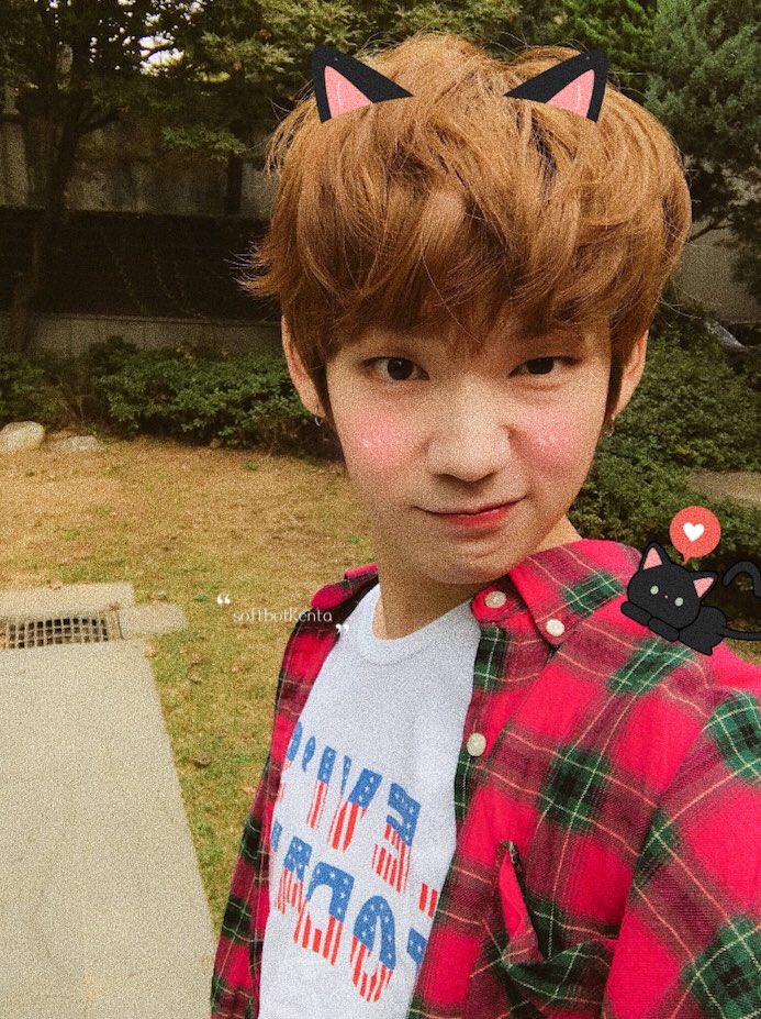 softbotkenta's tweet photo. #jbj → #타카다켄타 ♡ https://t.co/E3qltDvaeJ