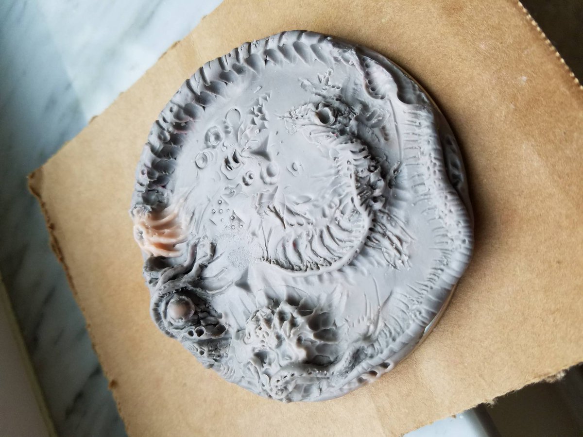 grogbro's tweet photo. Fossils and tentacles! No idea what to do with it now. https://t.co/4eaVpP6JhC