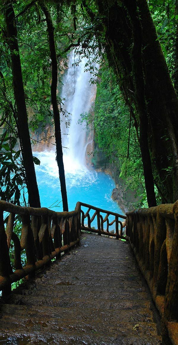 OlympicTravelSr's tweet photo. Costa Rica waterfalls  #CostaRica #TenorioVolcano #NationalPark 
#RioCelesteWaterfall

https://t.co/dvOEu77YIT https://t.co/Gy5RUuyEiG