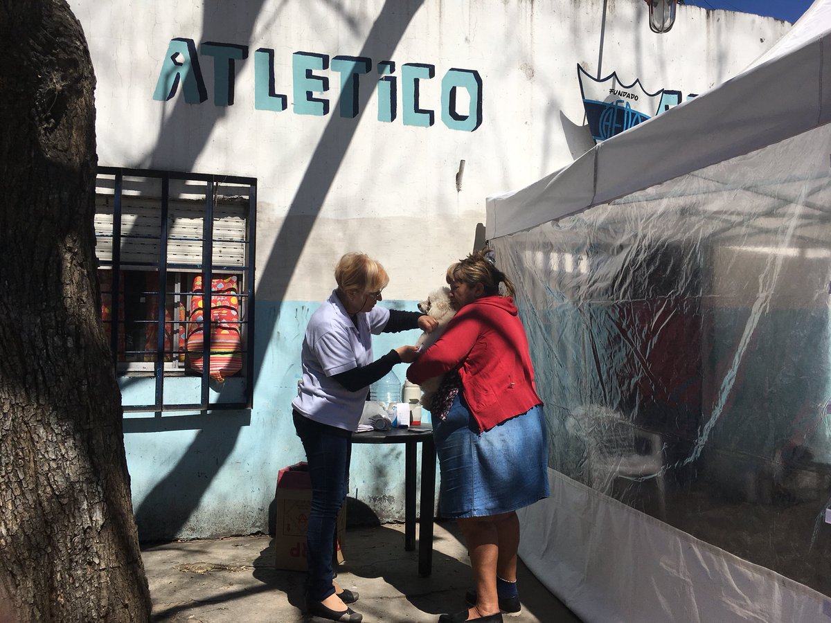 MarisaPicollo's tweet photo. Sec de Salud en Villa Caraza con Operativo de vacunacion para mascotas @SaludLanus @lanusmunicipio @Nestorgrindetti https://t.co/p0Cqrrn0pd