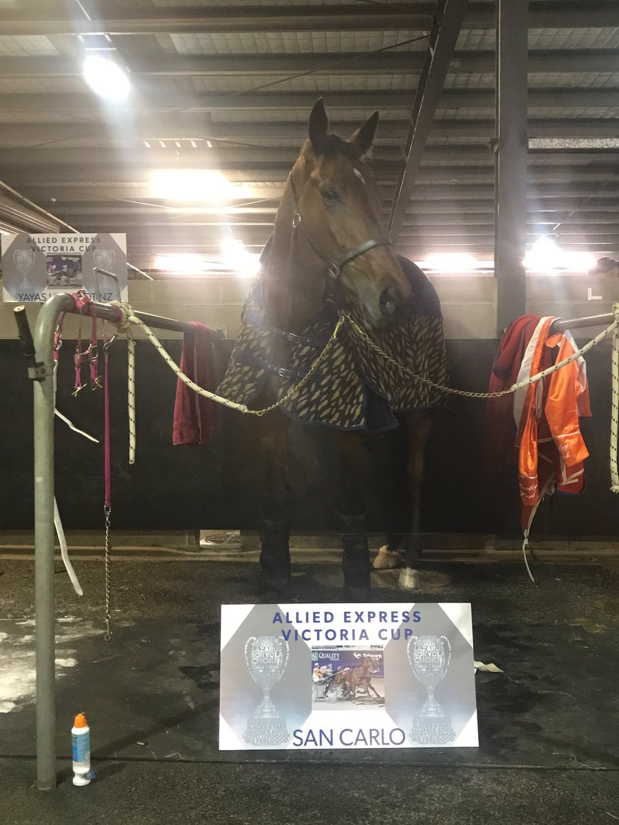 Beck Bartley tweet media