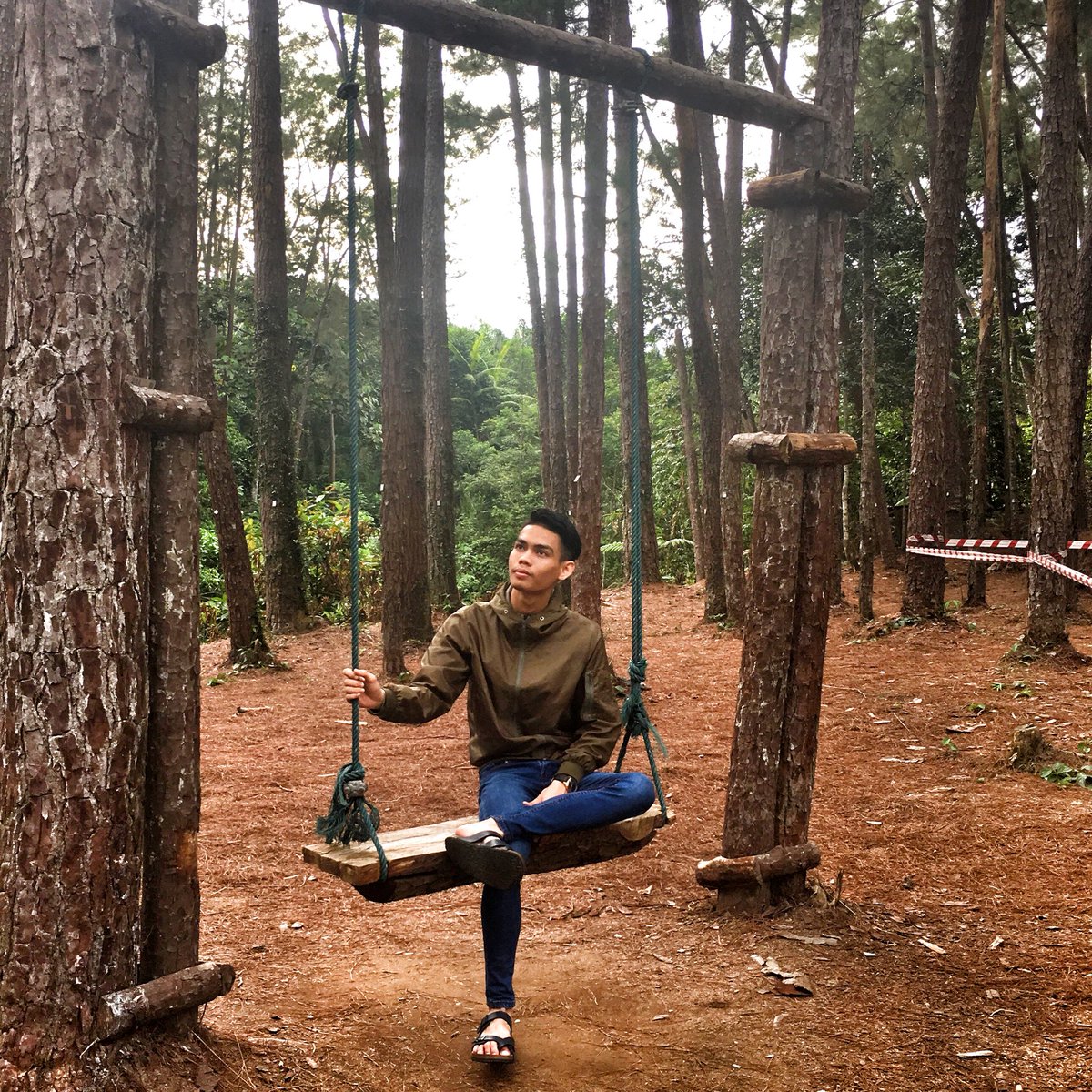 Huzairieyahya On Twitter Terap Pine Forest Kulim Kedah Https T Co Jakutxc5sf Twitter