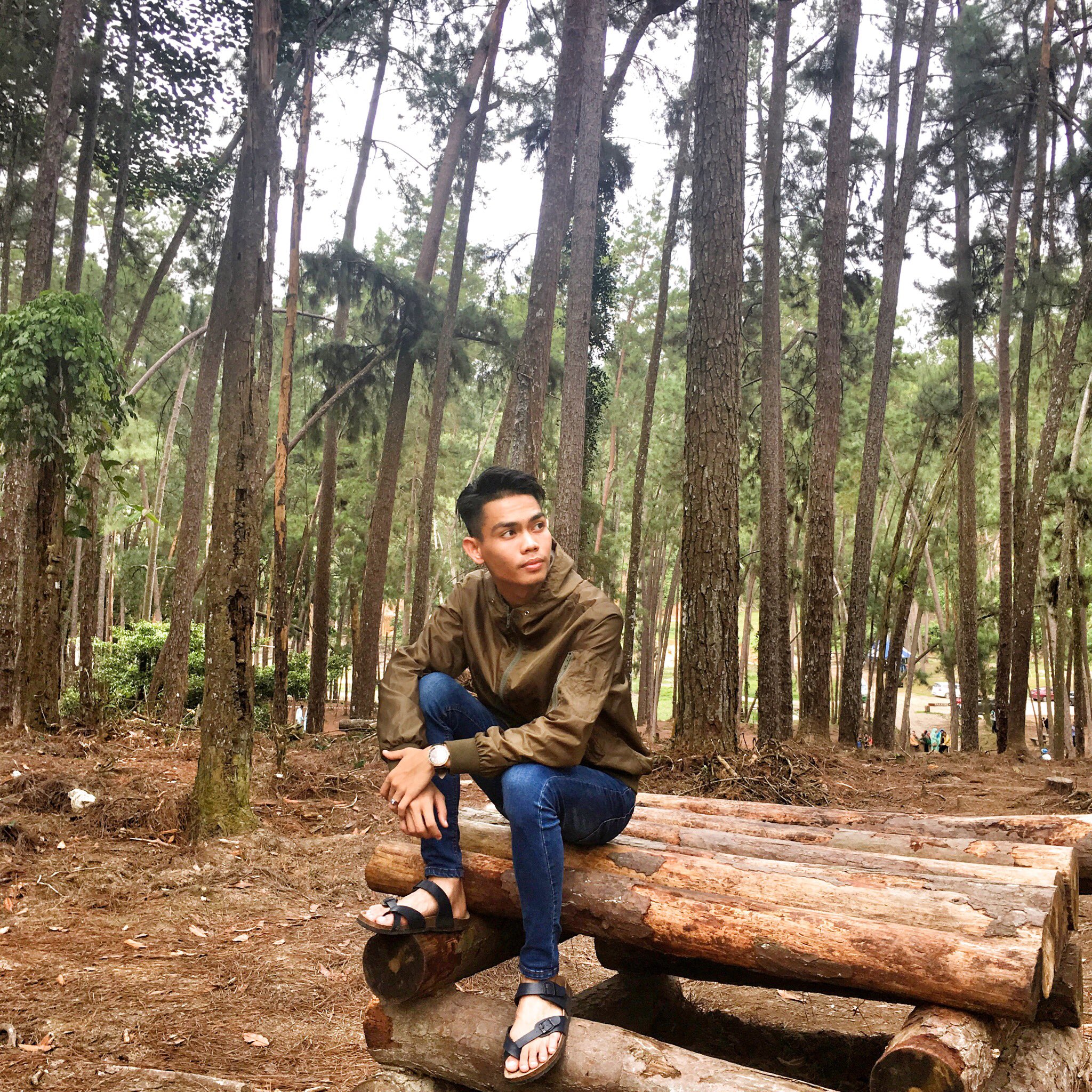 Huzairieyahya On Twitter Terap Pine Forest Kulim Kedah Https T Co Jakutxc5sf Twitter