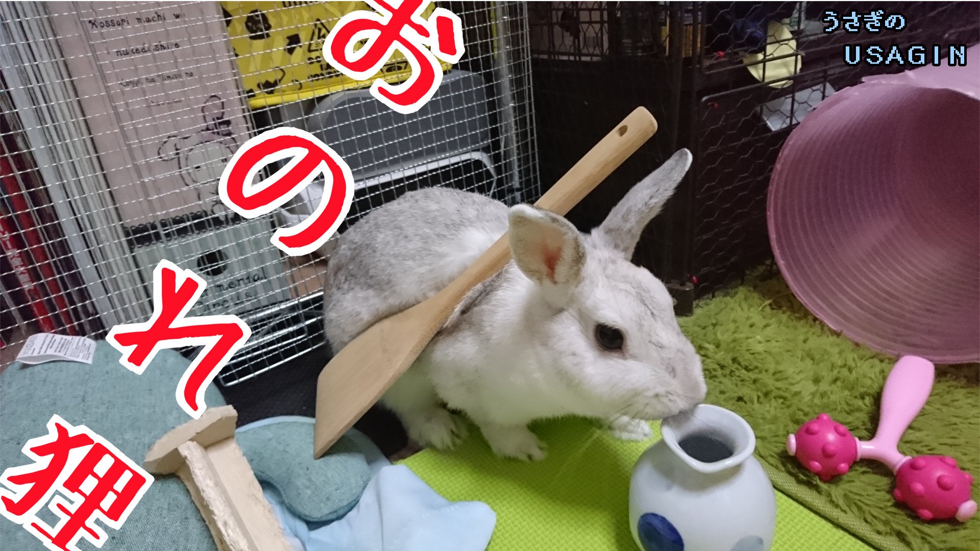 ウサギン 長距離バクシン うさぎが運営してるvtuber コスプレ 乗せただけとも言う して アニメ待機中 鬼灯の冷徹 うさぎ 芥子