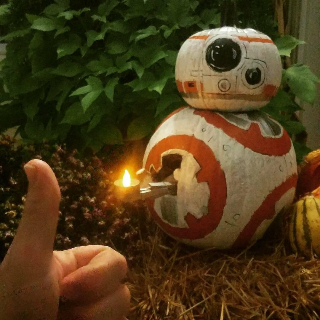 Daniel Hoogkamp tweet media