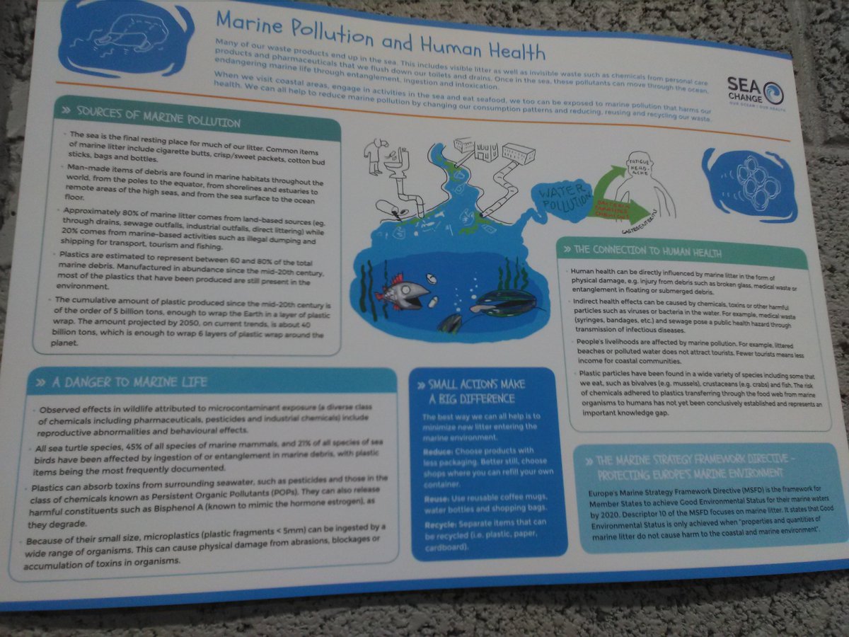 AideenODoc's tweet photo. Useful info on #marinepollution from @SeaChange_EU #MINDSCAPE2017 https://t.co/JWiY3Uns2t