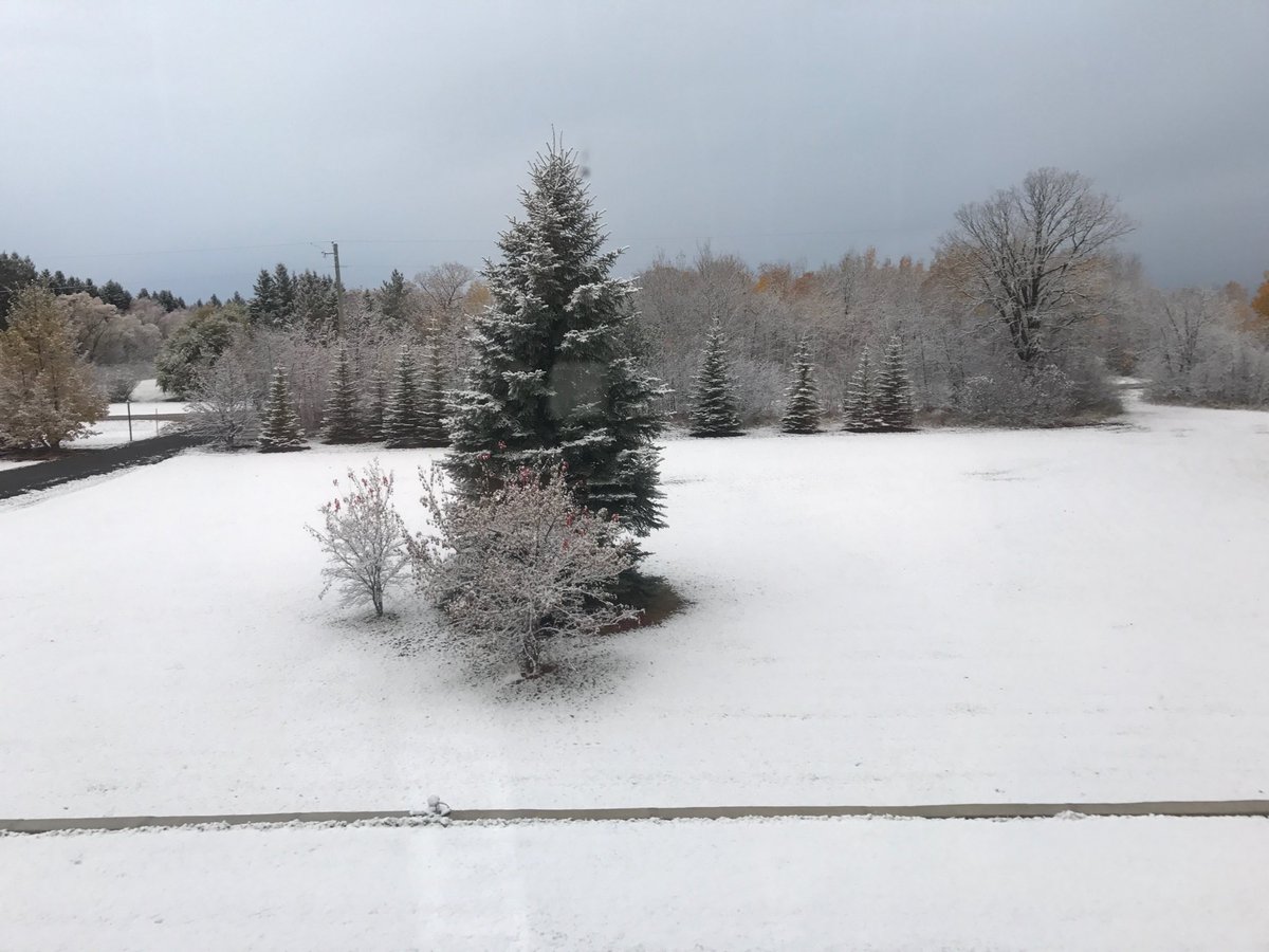 WayneEwaskoMLA's tweet photo. Beautiful morning in #EasternMB Make the best of it! #fall/winter #LdBConst #BetterMB https://t.co/i5zHLwbZzv