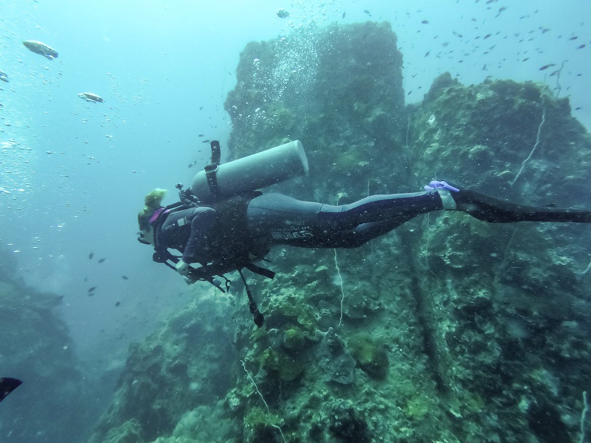 KatrienDecru's tweet photo. Diving in Thailand is simply amazing! #crystaldive #gopro #mares #travel #diving #underwater #scubadiving #thailand #kohtao #asia #padi 🤙👌🤙👌 https://t.co/xovhn4Pls2