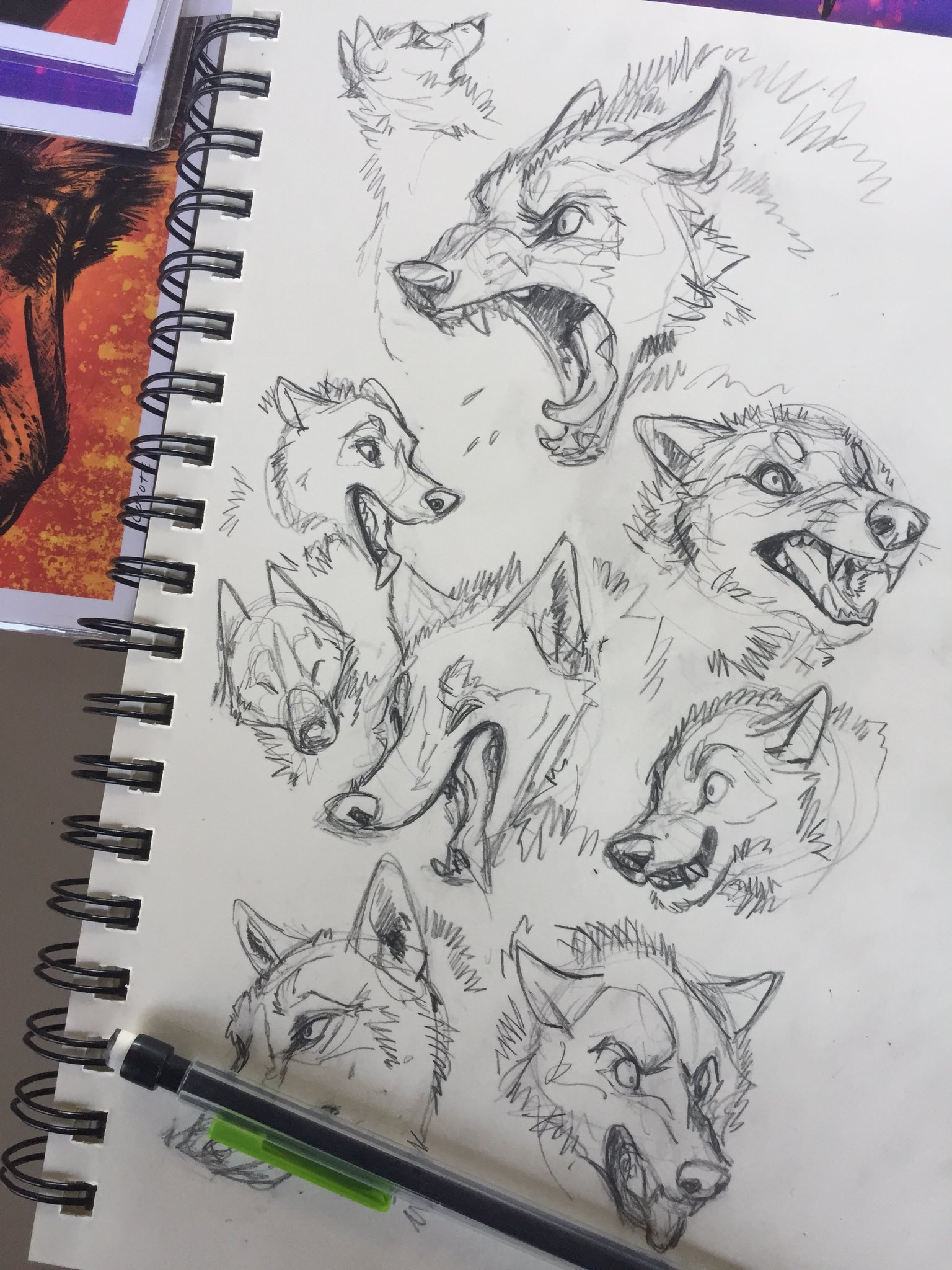 Teagan Gavet on Twitter "Wolf warm ups, trying to remember how pencils