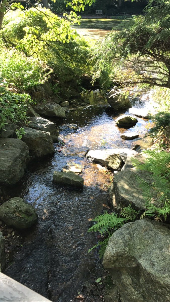 DorasPaintDrips's tweet image. #Meditation #garden #calmingspace