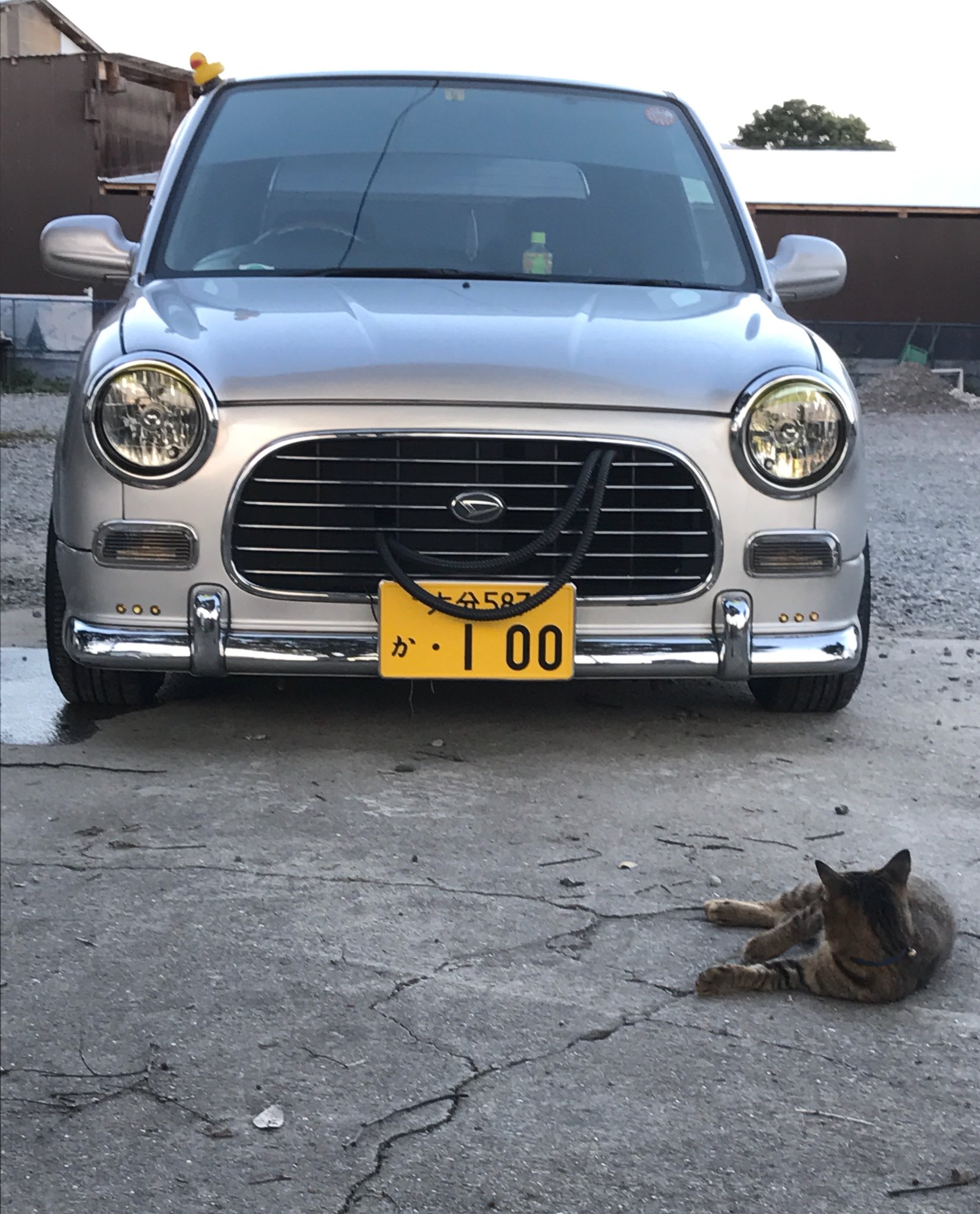 寿司 普通車 Er34 いじる時は 壊したら怖いな 専門家に任せよ ってなってたけど 軽自動車 ミラジーノ いじる時は 壊れたら壊れた時や やっちゃえ俺 みたいなノリでイケるから軽自動車 ミラジーノ は恐らくだけど おもちゃ T