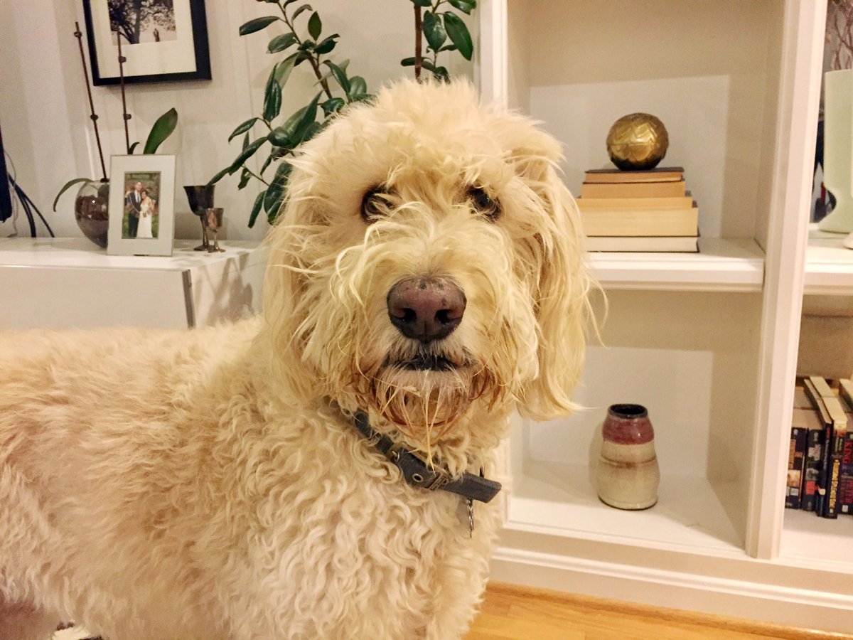 Belly fulla food, dirty mouth / Next, I wipe my face on the couch