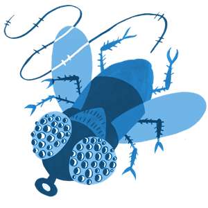 PestDefense's tweet photo. Q: Why did the fly never land on the computer?
A: He was afraid of the world wide web
#bugjokes https://t.co/12zHDwf7Cd