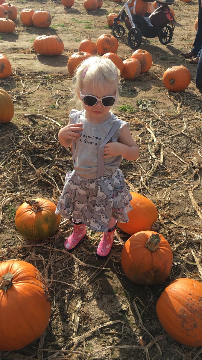 Pumpkin picking 🎃🎃
