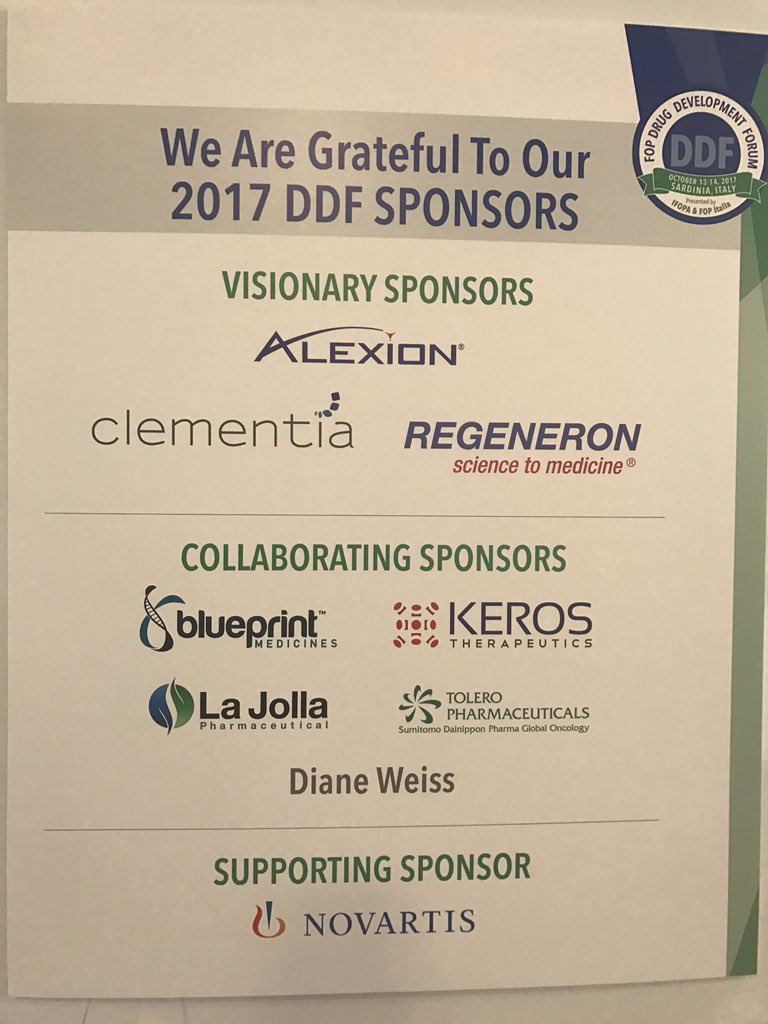 MichelleDavisKC's tweet photo. We are grateful to our #DDF2017 sponsors who made this Forum possible and to our amazing partners FOP Italia. @ifopa https://t.co/ekADYMCEWK