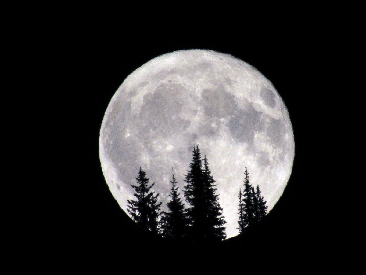 destination__pl's tweet photo. Moon From British Columbia! #moonlighting #britishcolumbia #amzingview #NaturePhotography https://t.co/xy6qsYiilj