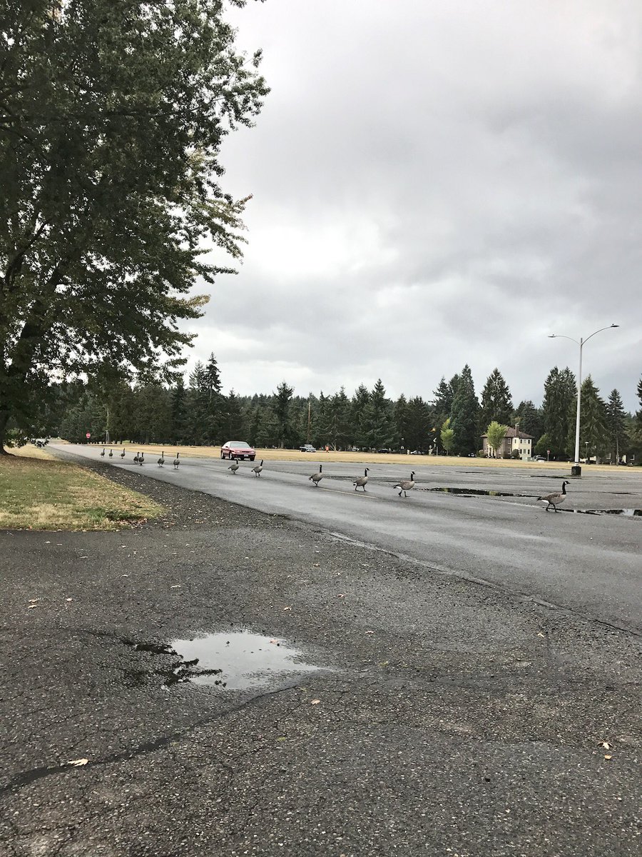 Traffic is horrible today...