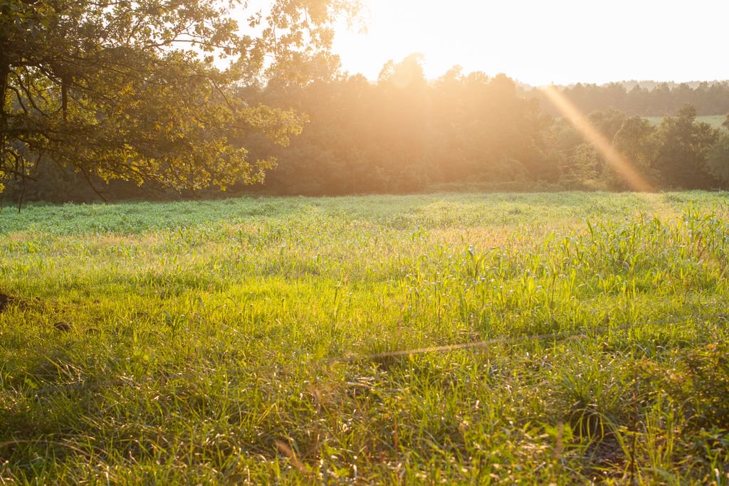 Who's ready for the weekend? We are! 🙋
Tag the friend you're hanging out with this weekend!