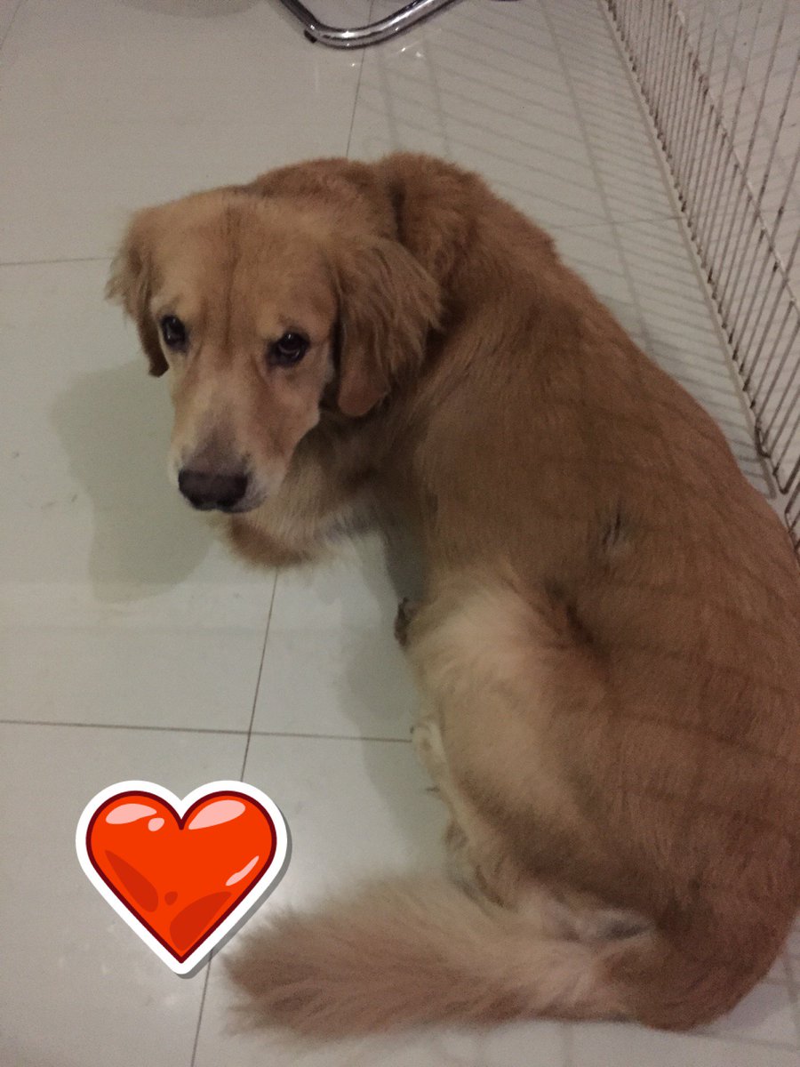 #malammingguan (@ Jalan Tebet Timur Iii A No 9 Jaksel in Tebet, Jakarta) swarmapp.com/c/cOgxVq6O412