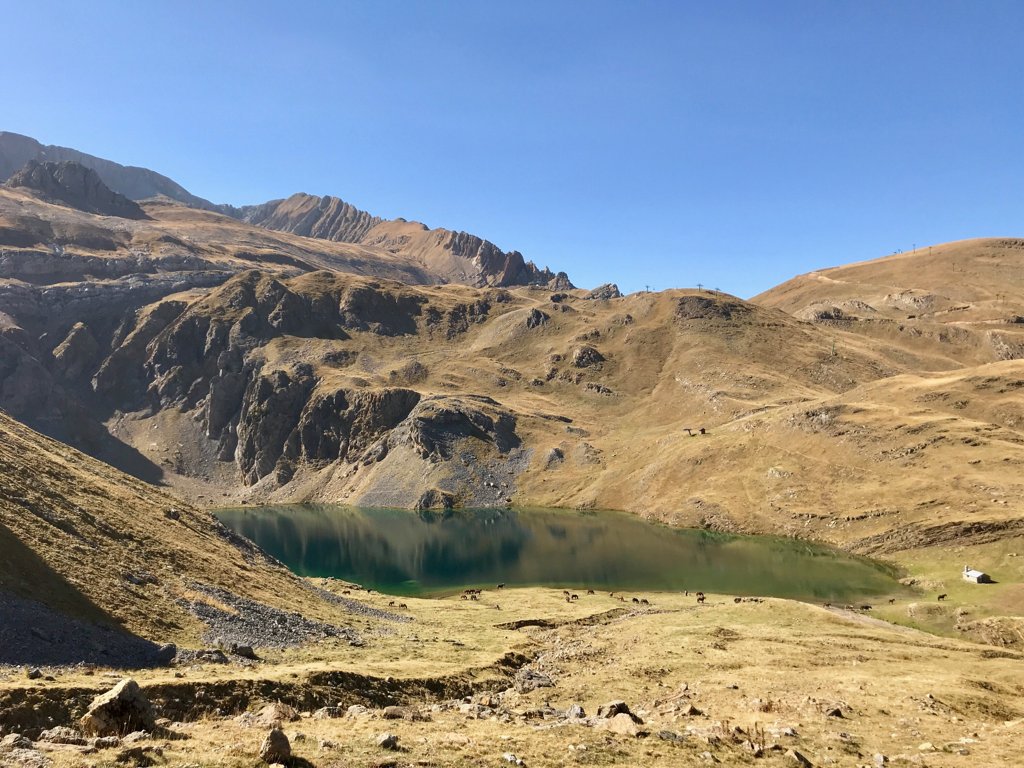 realToperez's tweet photo. Ibón de #Sabocos al mediodía, 20 grados a casi 2.000 metros y ni un alma (solo la de los caballos del Pirineo, si es que la tienen) https://t.co/0ijDU9R6hR