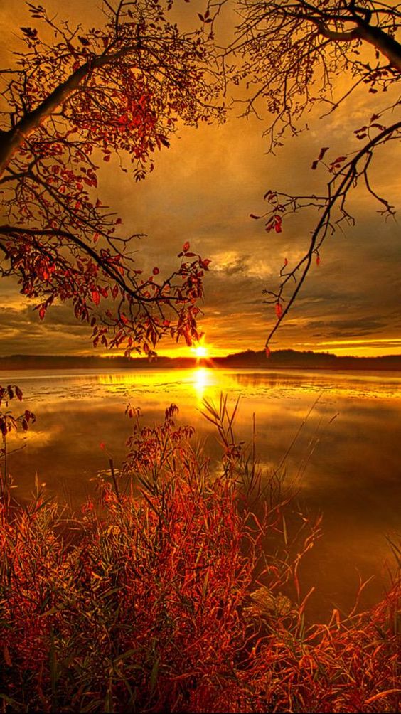 poupouch48's tweet photo. @cathhewat123 @lazurit_plus @Chandra1Vinod @Cesuryorum @IsabelPerez1232 @yacine777dzd @EdytaBaracz @niuracastrillon @isamuuran1316 @LenaDalli @Jilliemary @Klaudia141414 @KellyRo71119911 @kwang5andy @IsmailShihan @PptMary @angelinarosy3 @SitterBh @taxi_ede @FloverRed @PiticNiki @ViviHua71296541 @GpPasquet @CristinPereyra @cko_mx @Sikanda65154575 @ABBASJAFREE @hamouda05034871 @kazurin4428 @AndreasThomas19 @pouramour0 @Ali38demir @shinunao2 @TammyDSanford3 @newt50 @JuanaDeArcoFr @hassanhadi019 @MatyldaStein @Ginacer1 @farahbarcelona2 @elsufuen @mila_cakic @Viva51177838 @OKowalcuk @virlivia21 @oadele53 @omniajen @LO2BSH @lv4gab  https://t.co/maRc3oyvQE