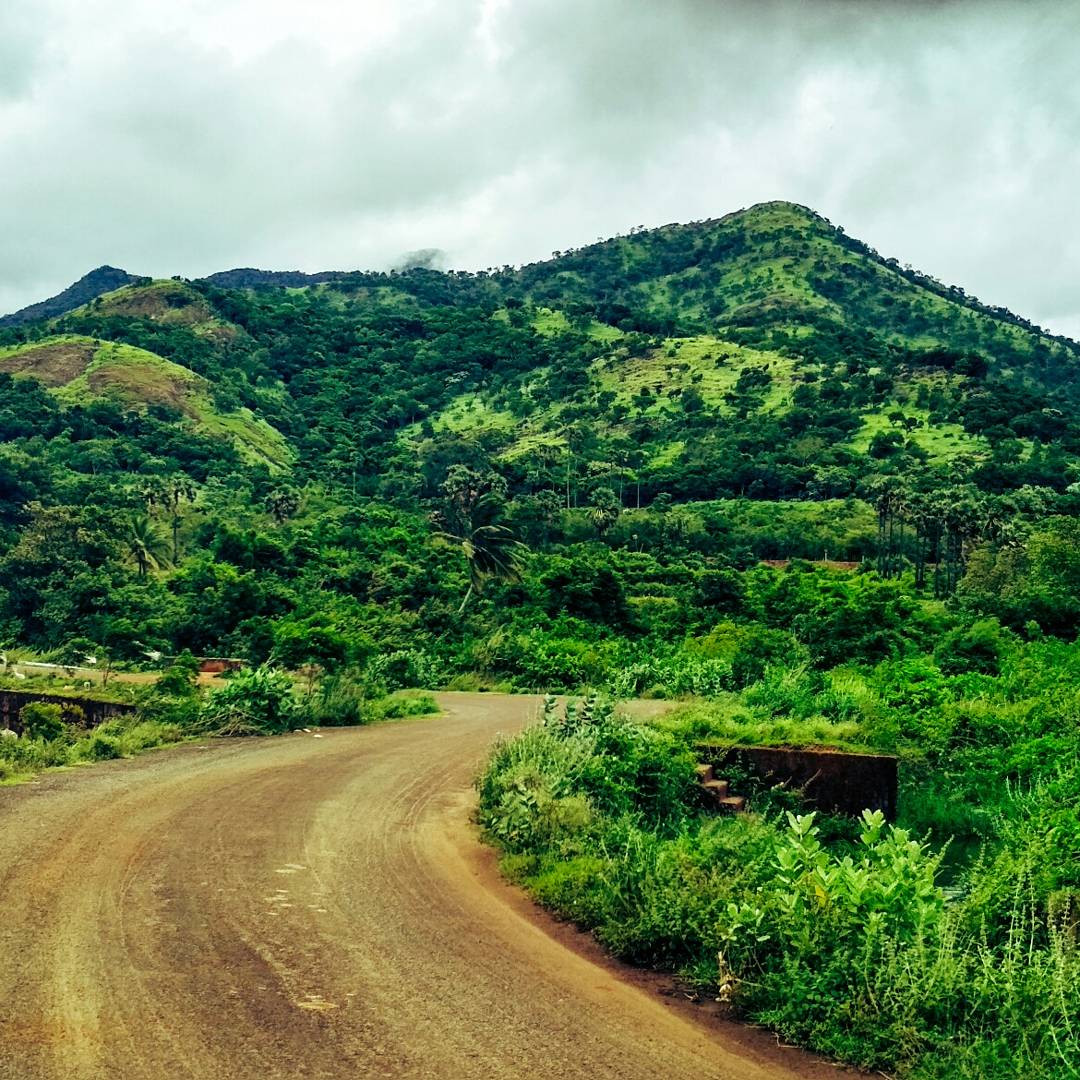 Podhigai_Nature's tweet photo. #nature #photography #mountain #monsoon #green https://t.co/K20Y8eiWFV